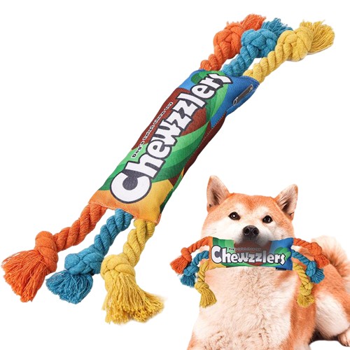 Squeaky Plush Toy for Dogs and Cats